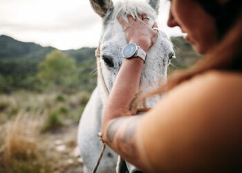 Στιγμές περιπέτειας