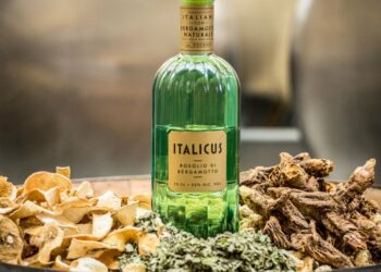 To απόσταγμα του Αμάλφι