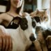 chewy-gWzTum_yMCg-unsplash