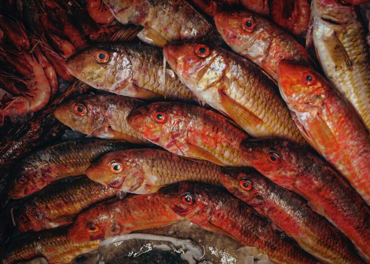 Πώς να ξεχωρίσετε τα φρέσκα ψάρια