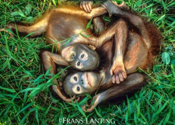 Ο φωτογράφος που κοιτάζει τη Φύση στα μάτια