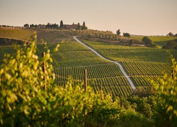 Η απίστευτη ιστορία των κρασιών της Τοσκάνης