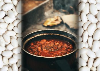 Όλα όσα πρέπει να ξέρετε για τους γίγαντες