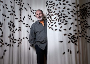 Η έκθεση της κατσαρίδας