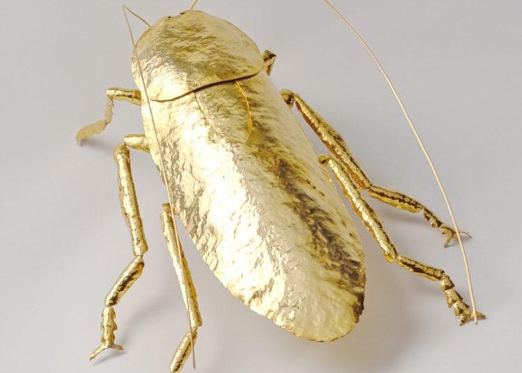 Η έκθεση της κατσαρίδας