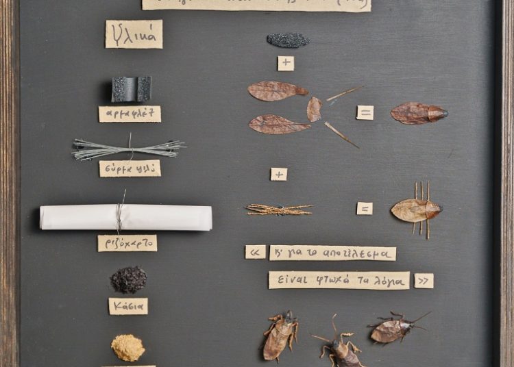 Η έκθεση της κατσαρίδας