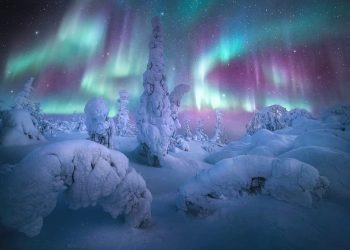 Όλα τα σέλατα του κόσμου (ΦΩΤΟ)