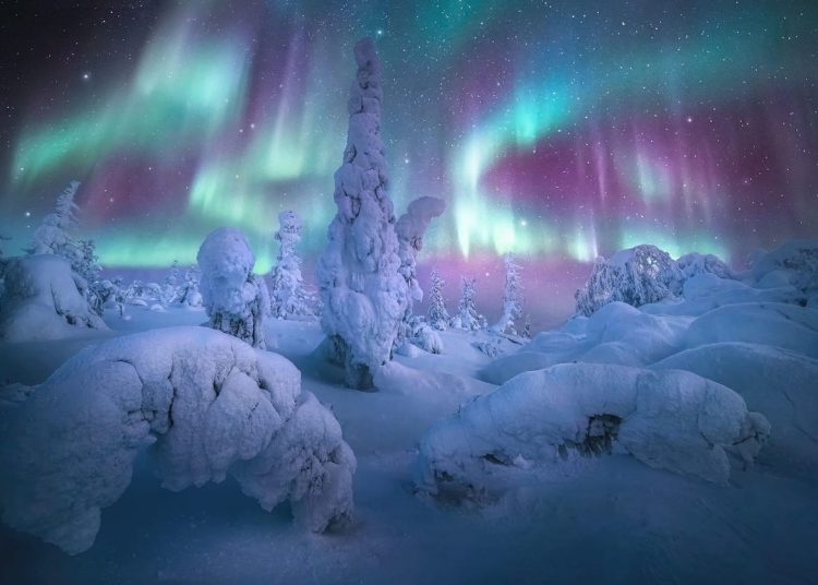 Όλα τα σέλατα του κόσμου (ΦΩΤΟ)