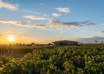 Η νέα ζωή ενός μεσαιωνικού οινοποιείου