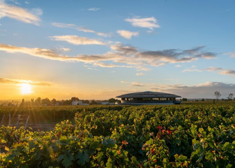 Η νέα ζωή ενός μεσαιωνικού οινοποιείου