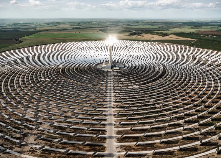 Τα «εξωγήινα» φυτά του Tom Hegen