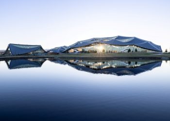 Η Google γνωρίζει τα πάντα και για τη βιωσιμότητα