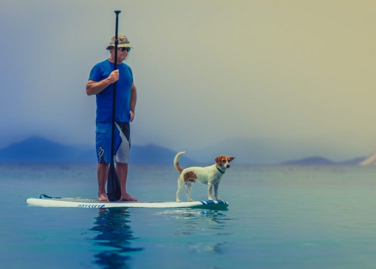 Ο άνθρωπος εξέλιξε τον σκύλο ή ο σκύλος τον άνθρωπο;