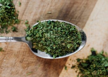 Ρίγανη: Φυσική πανάκεια