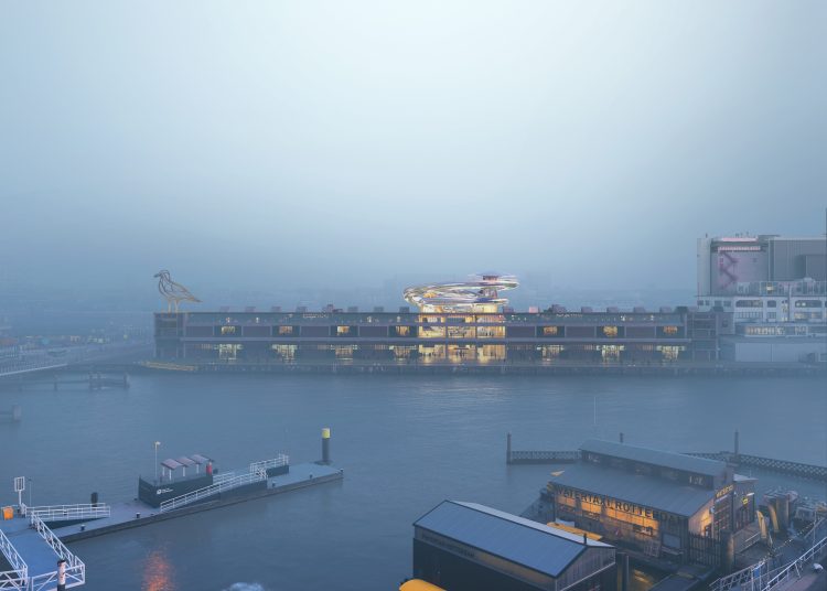 Οι μετανάστες του Ρότερνταμ