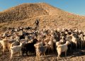 Ξεκινάει το Διεθνές Φεστιβάλ Αρχαιολογικού και Πολιτιστικού Ντοκιμαντέρ «ΑΓΩΝ»