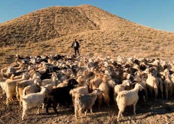 Ξεκινάει το Διεθνές Φεστιβάλ Αρχαιολογικού και Πολιτιστικού Ντοκιμαντέρ «ΑΓΩΝ»