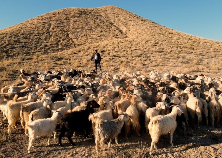 Ξεκινάει το Διεθνές Φεστιβάλ Αρχαιολογικού και Πολιτιστικού Ντοκιμαντέρ «ΑΓΩΝ»