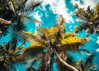 Η επινόηση των διακοπών και πώς έγιναν το must του καλοκαιριού