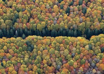 Η φύση της Φύσης