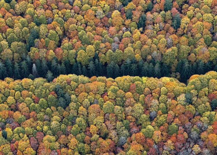 Η φύση της Φύσης