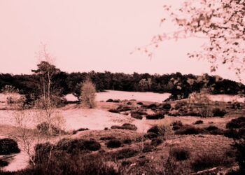 57 λέξεις για τα Τέμπη