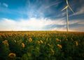 Net zero: Ευσεβής πόθος ή εφικτός στόχος;