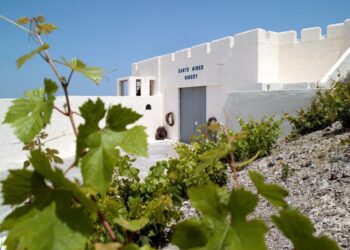 Μετάλλια για 8 κρασιά της Santo Wines στα Decanter World Wine Awards 2025