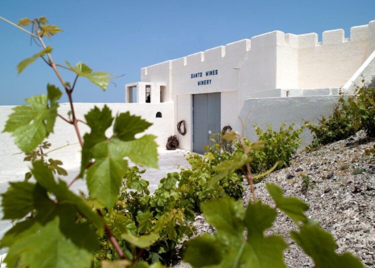 Μετάλλια για 8 κρασιά της Santo Wines στα Decanter World Wine Awards 2025