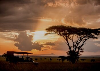 Νυχτερινός Tουρισμός: Ωδή στο σκοτάδι