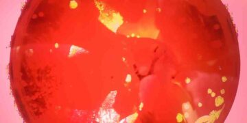 Το φεστιβάλ MIR εκτοξεύεται και επαναπροσδιορίζει την έννοια του avant-garde και του μοντέρνου