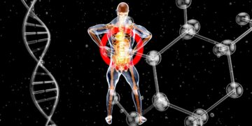 Τα νέα μυστικά της μακροζωίας