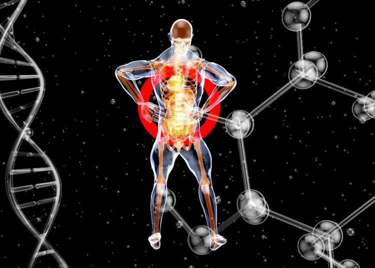 Τα νέα μυστικά της μακροζωίας