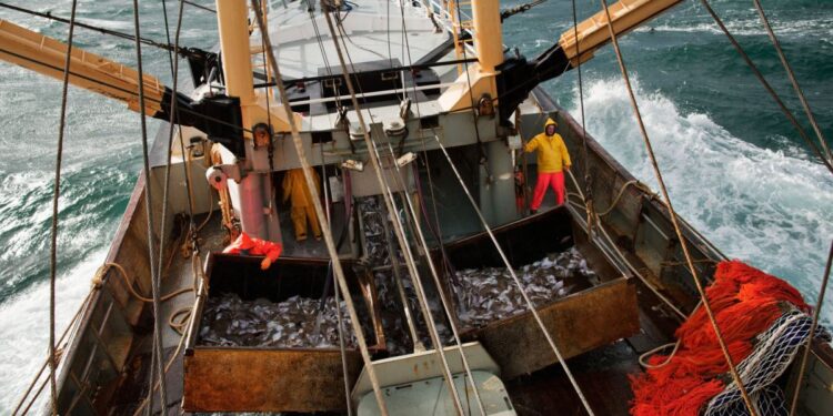 Ο φωτογράφος που ψαρεύει στιγμές και απίστευτες εικόνες