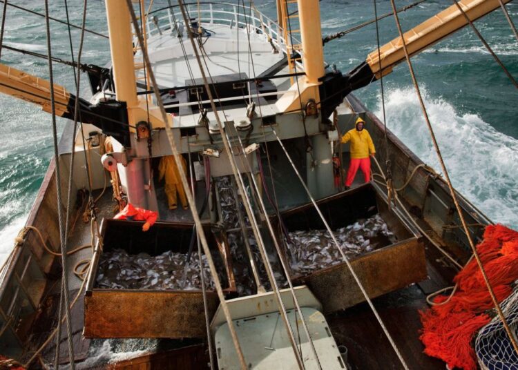 Ο φωτογράφος που ψαρεύει στιγμές και απίστευτες εικόνες